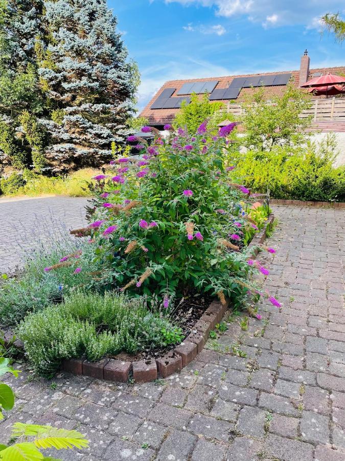 Ferienappartement Am Almesbach Weiden Weiden in der Oberpfalz Eksteriør billede